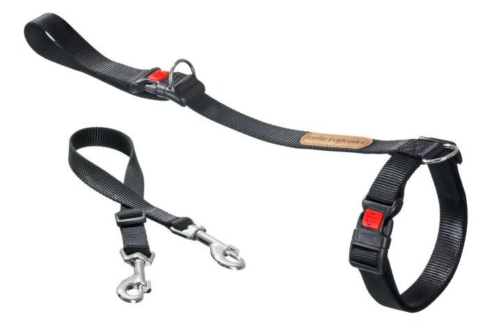 Leg-Leader 39-60 cm, 85 cm Leine