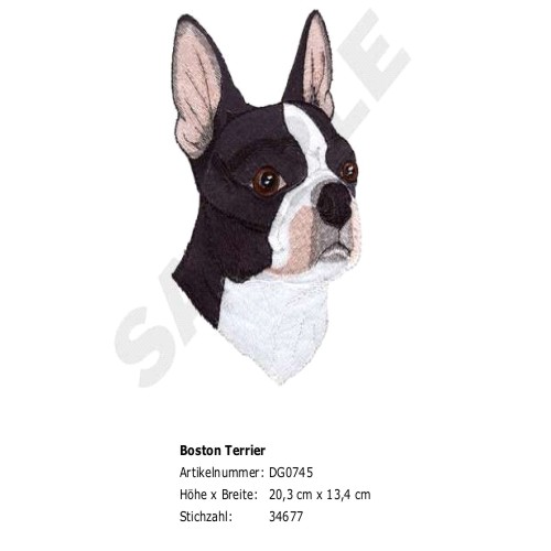 Rückenstick Boston Terrier