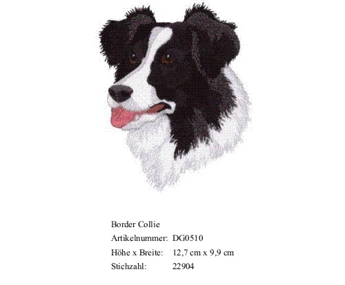 Rückenstick Border Collie