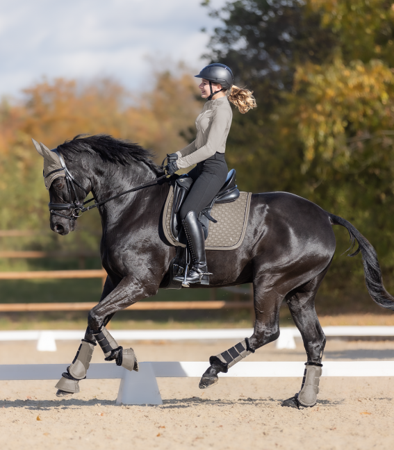 Schabracke Pegasus