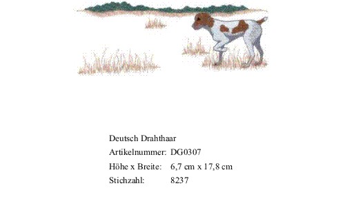 Rückenstick Deutsch Drahthaar