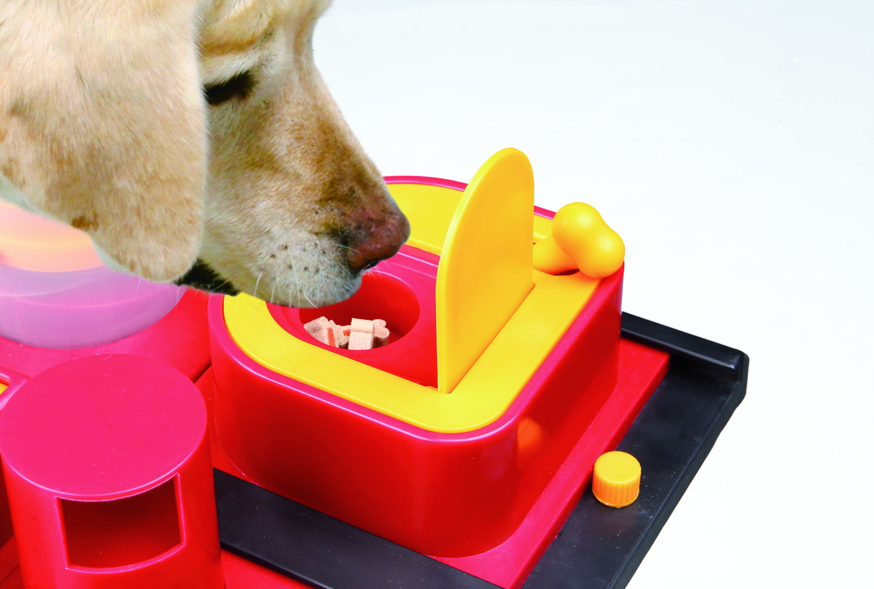 Dog Activity Poker Box 2, 31 x 31 cm