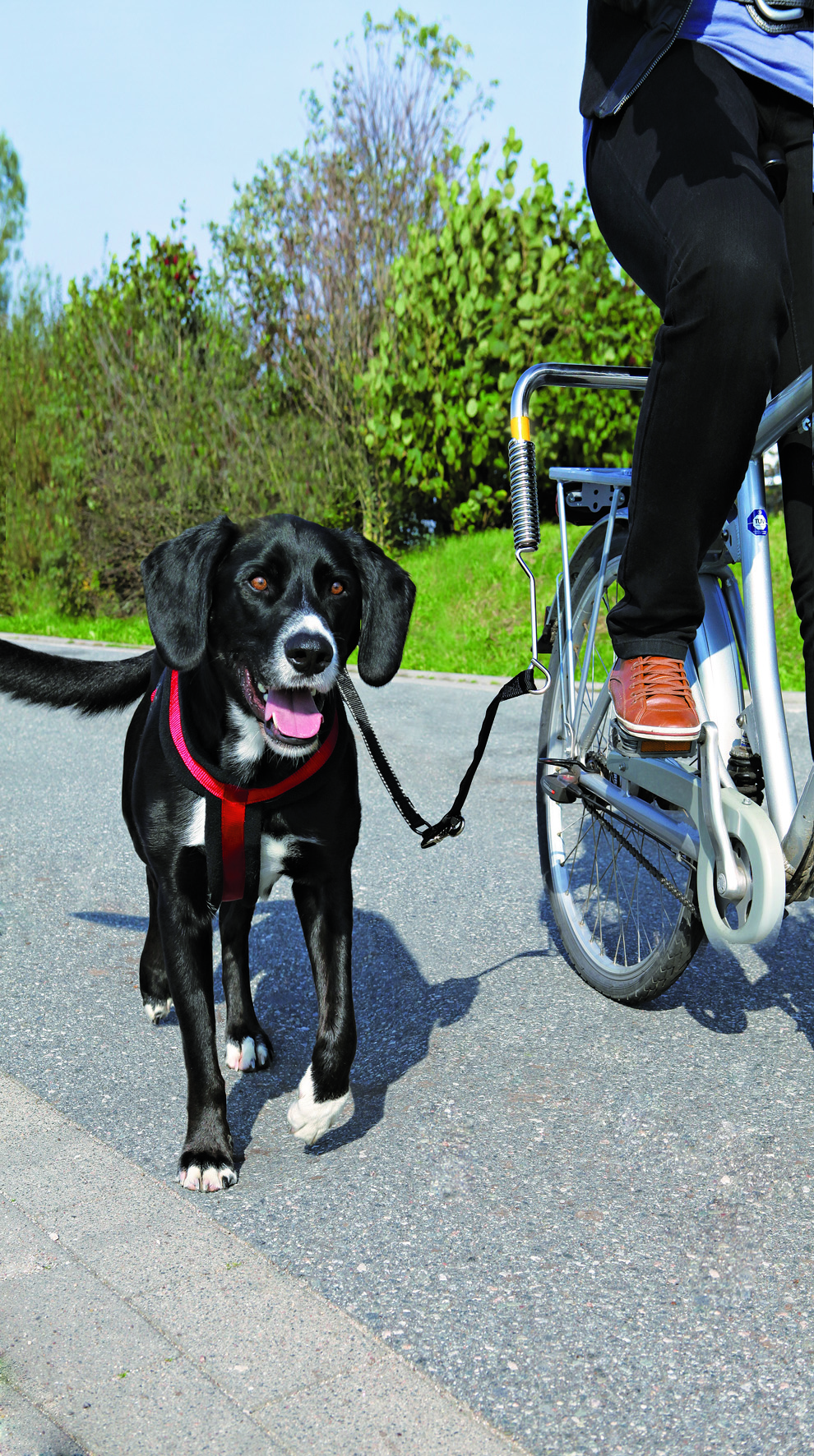 Biker Set für große Hunde