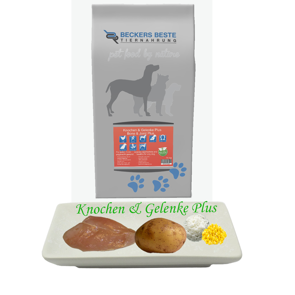Knochen & Gelenke PLUS