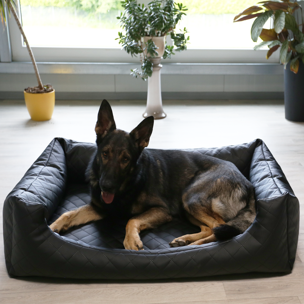 Beckers Beste Dream Exklusiv Hundebett gesteppt