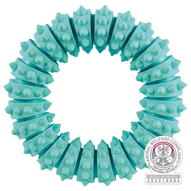 Denta Fun Ring, Minzgeschmack, Naturgummi, ø 12 cm