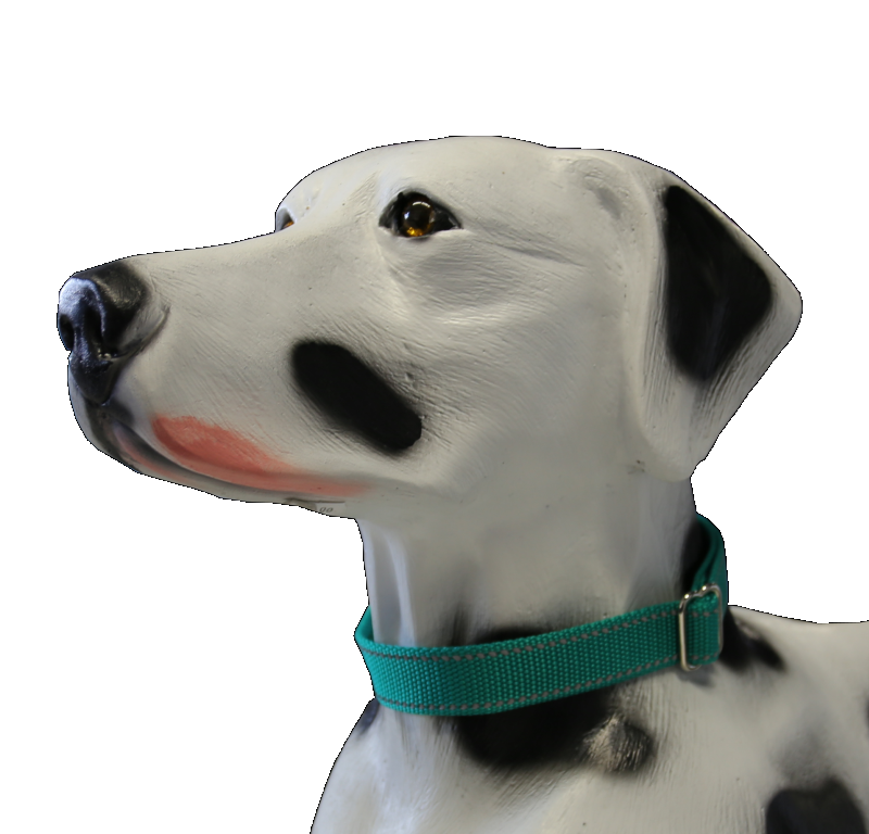 Nylonhalsband 40-60 cm