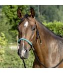 Knotenhalfter mit Zügel