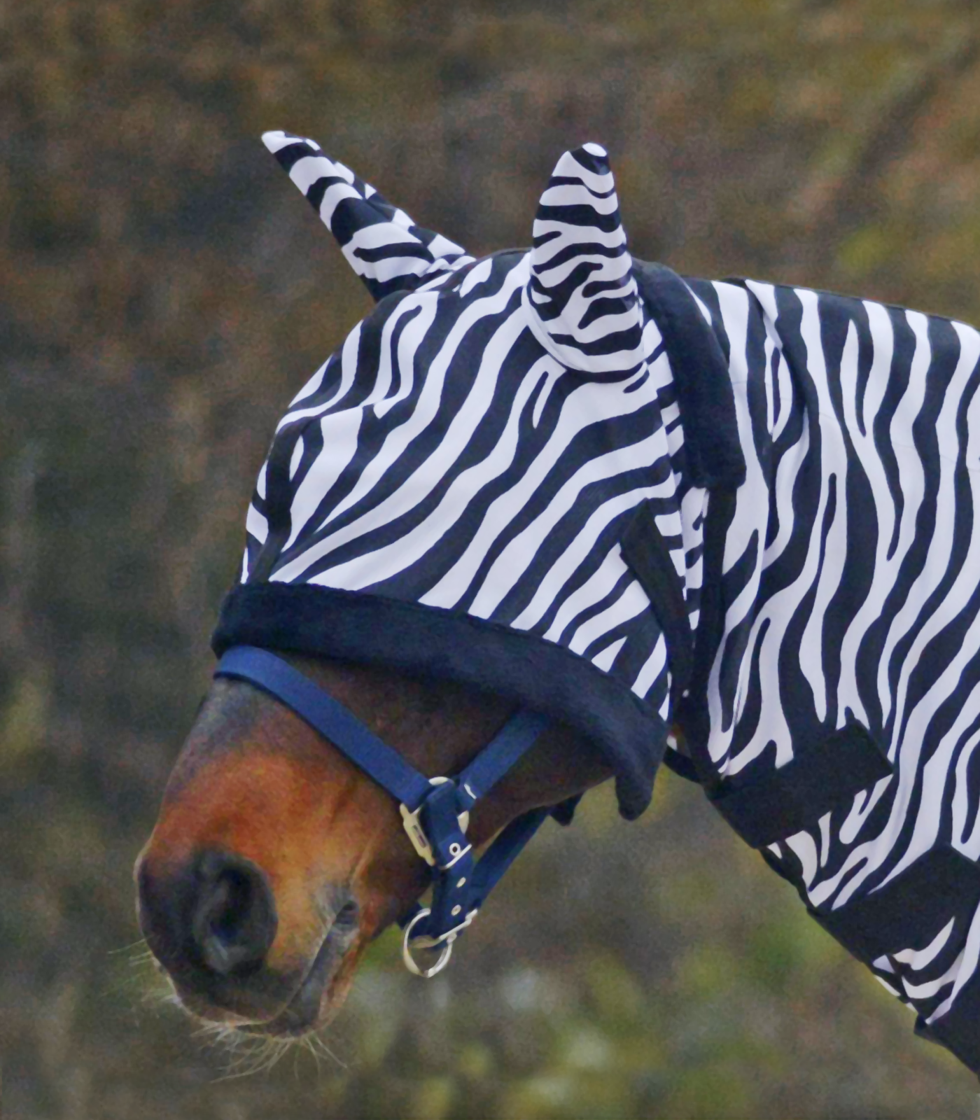 Fliegenmaske Zebra