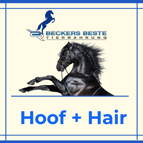 Hoof & Hair 900gr.
