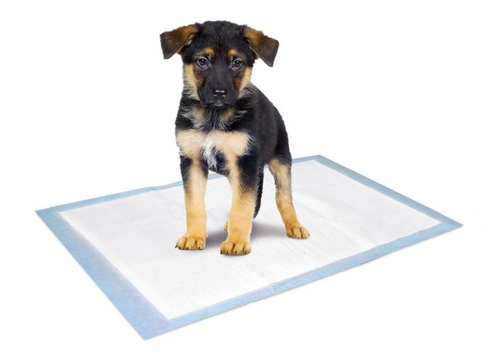 Puppy Pads Trainingsmatte