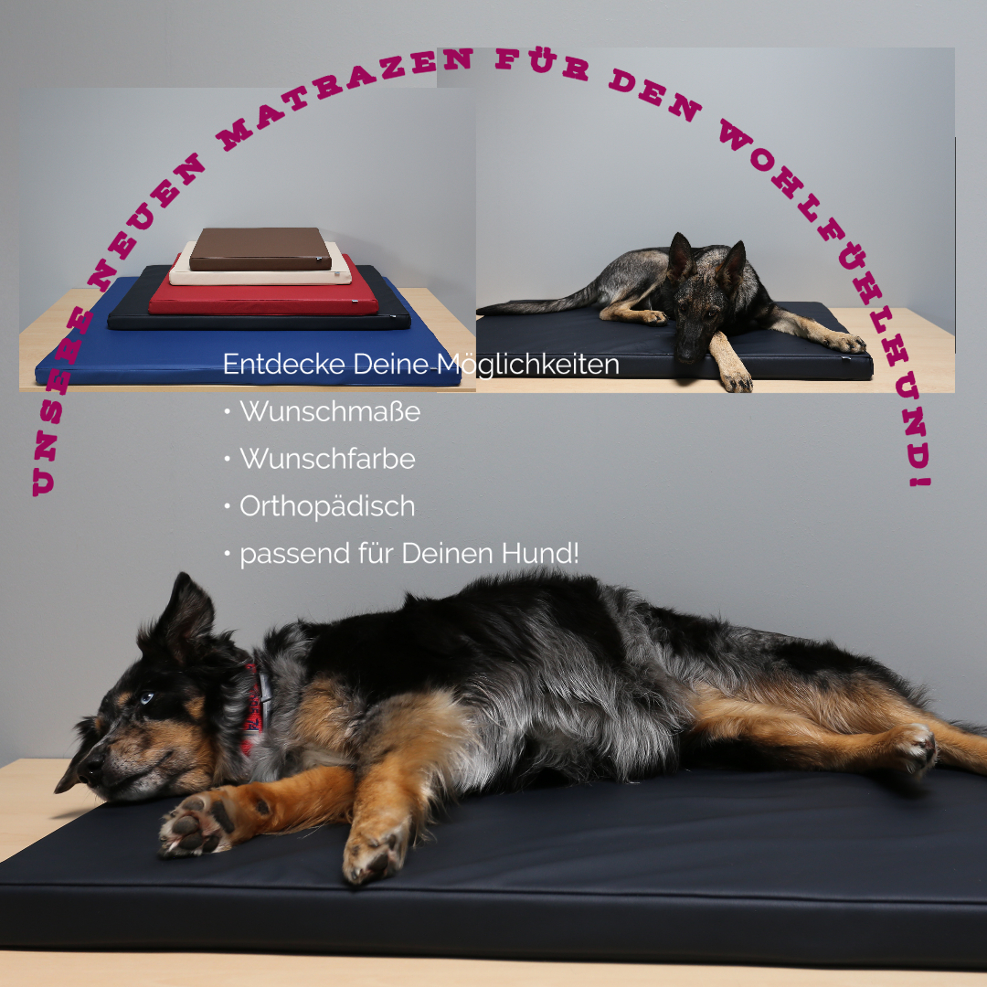Beckers Beste Hundematte Kunstleder