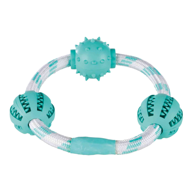 Denta Fun Seilring mit Bällen