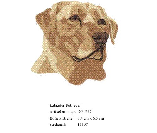 Bruststick Labrador Retriever