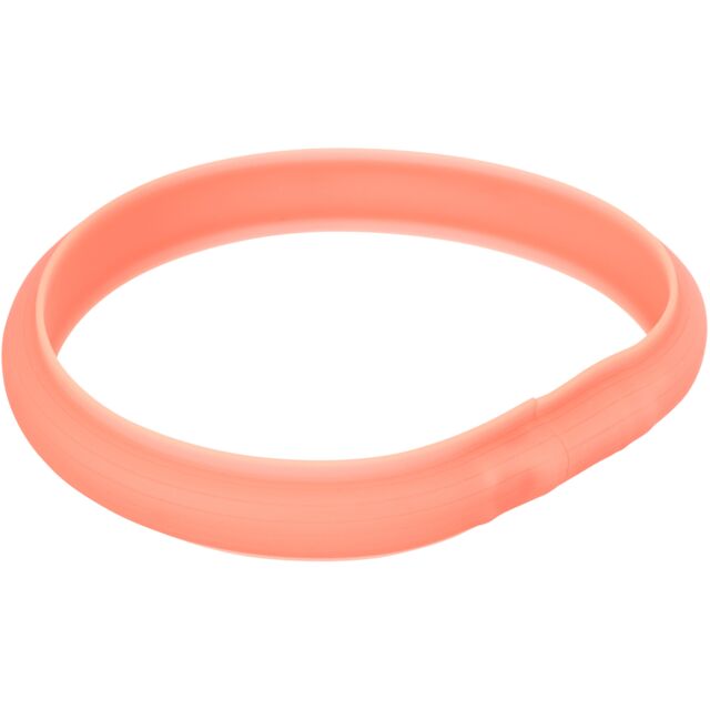 Flash Leuchtband USB