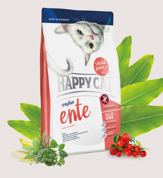 Happy Cat Ente