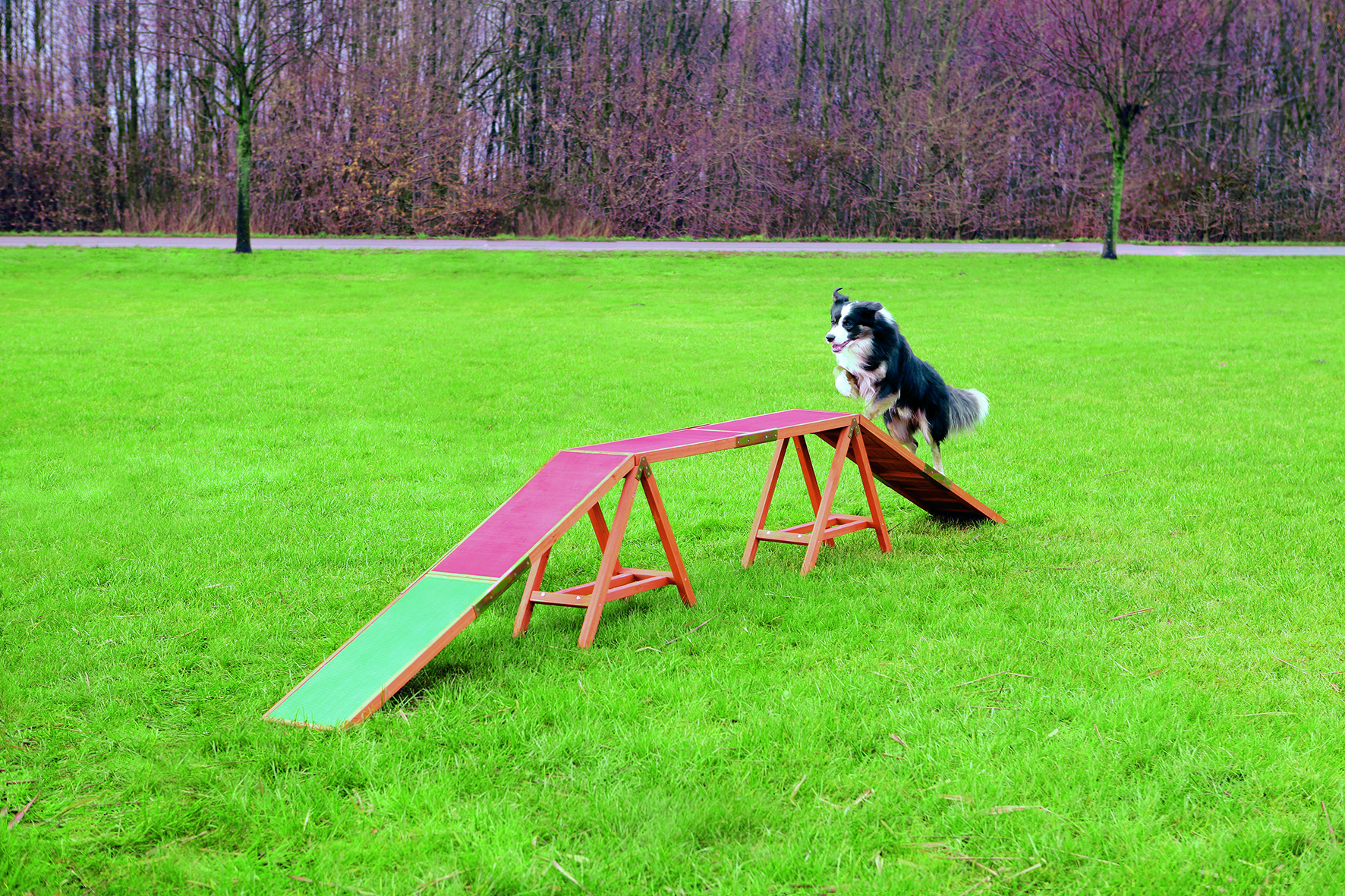 Dog Activity Agility Steg, 456 x 64 x 30 cm