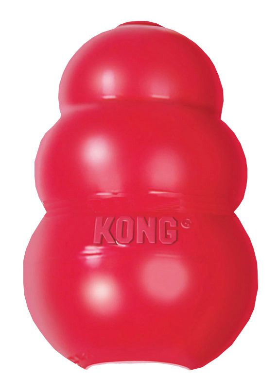 Kong Classic rot