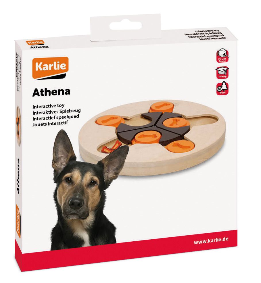 Wooden Brain Train Athena