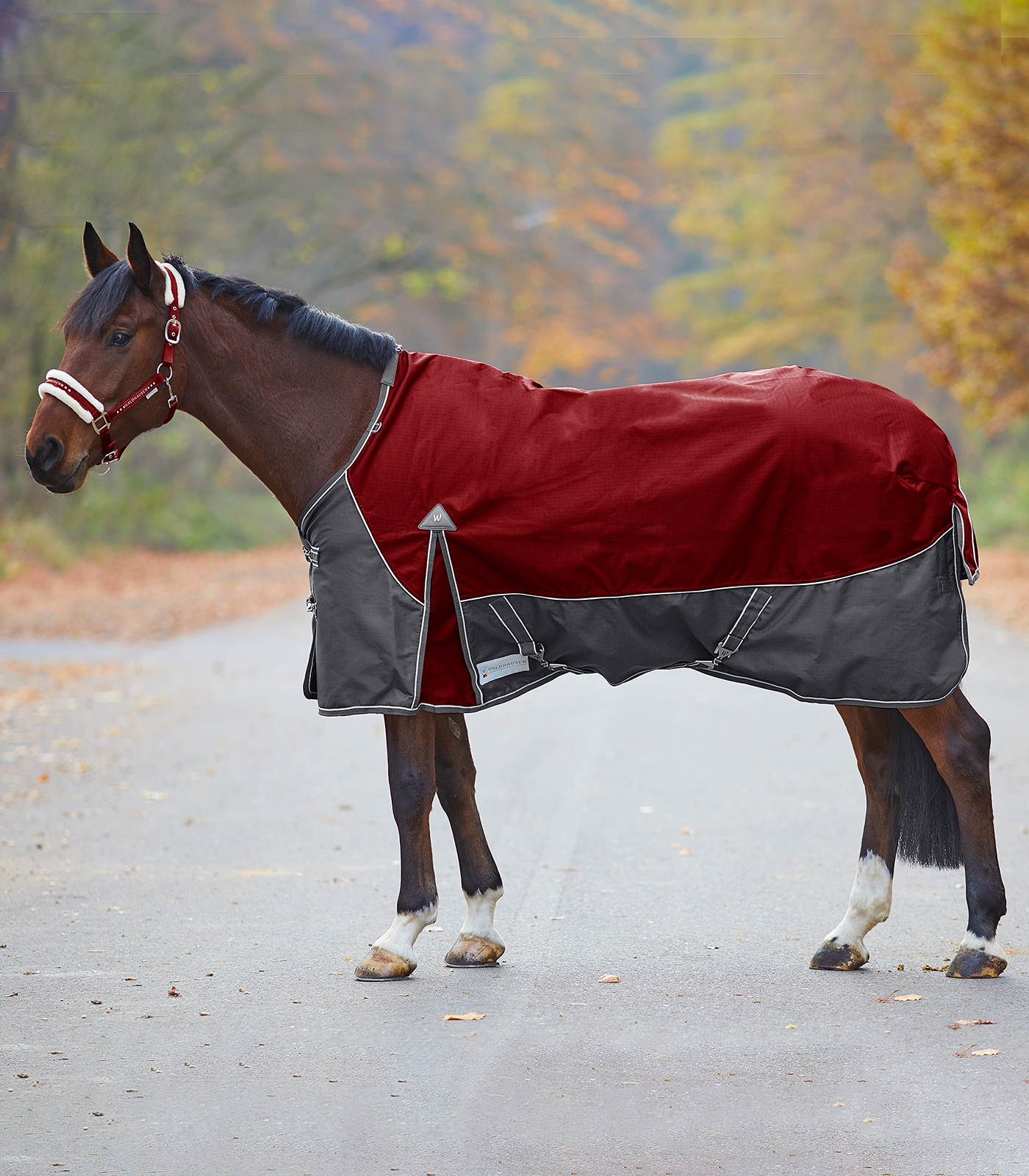 Outdoordecke Comfort 100g