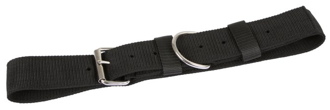 Halsriemen für Pferde, 5cm breit