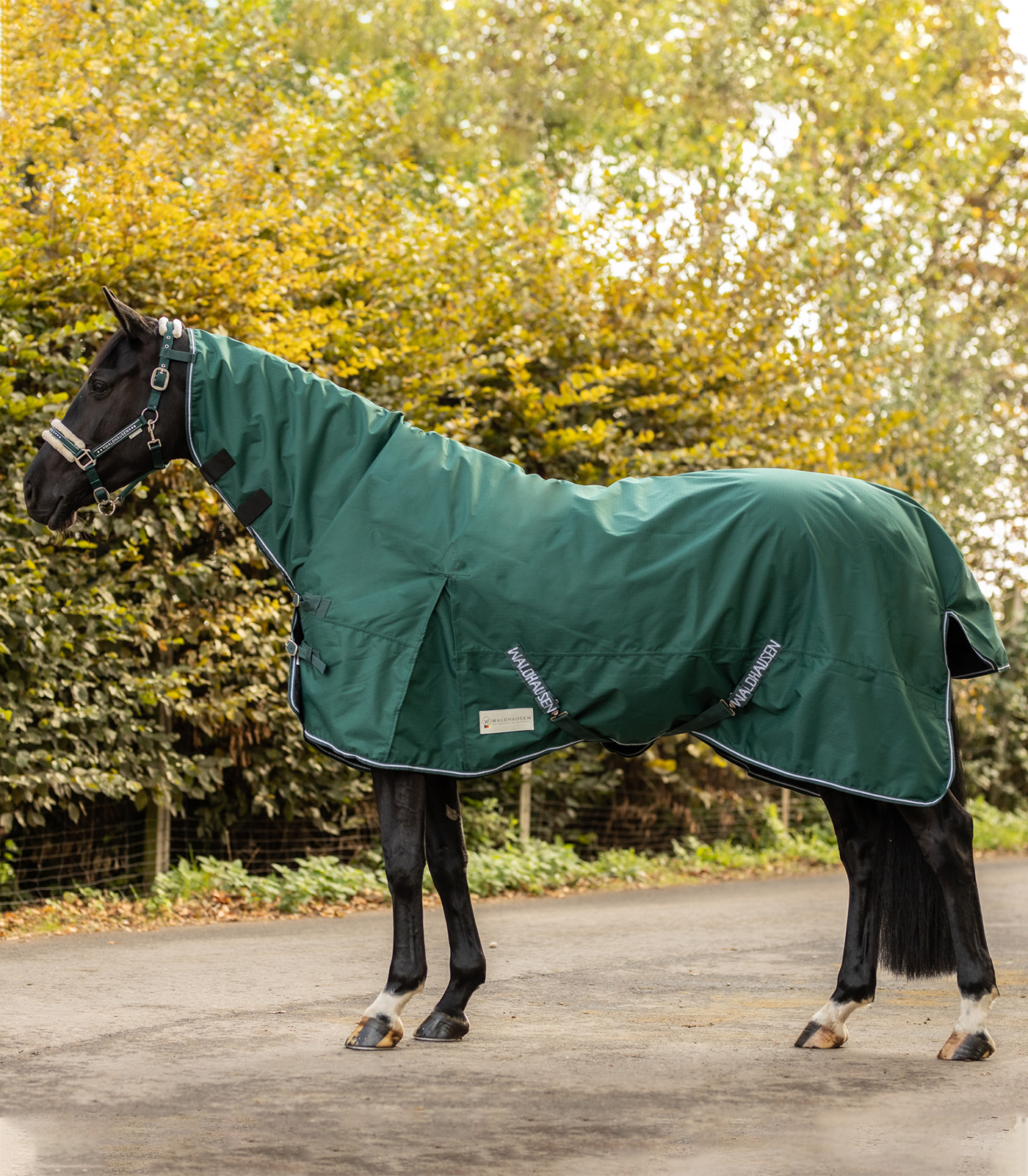 Regendecke Comfort mit Halsteil