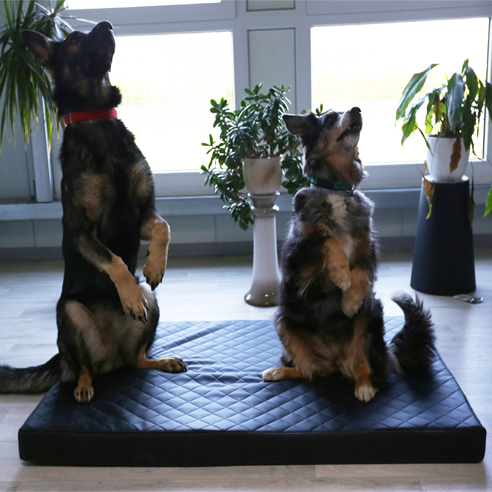 Beckers Dream Comfort Hundematte, Kunstleder, Gesteppt 8 cm