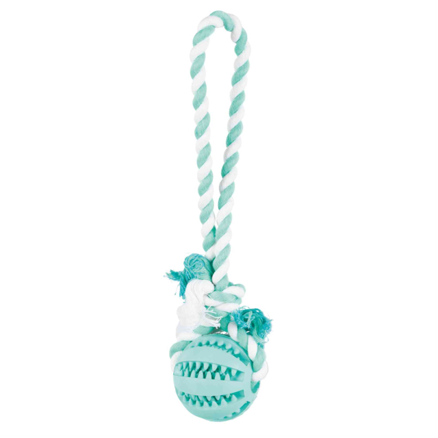 Denta Fun Spieltau mit Ball