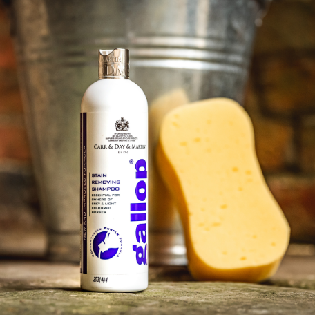 Gallop Fleckentfernungs Shampoo