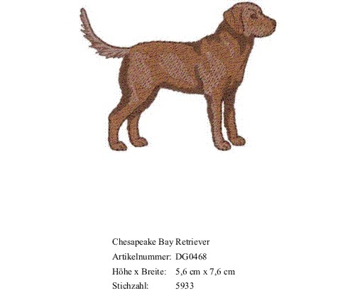 Bruststick Chesapeake Bay Retriever