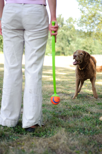 Chuckit Ultra Ball