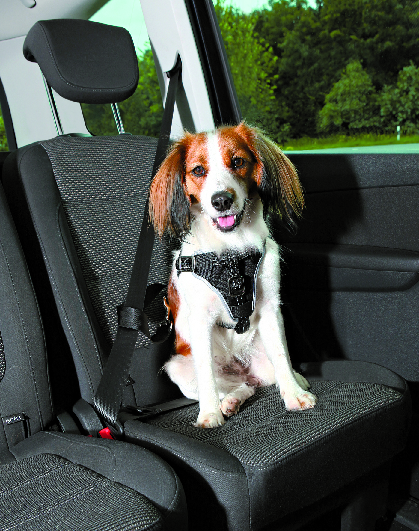 Auto-Geschirr Dog Protect
