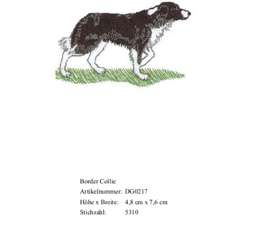 Bruststick Border Collie