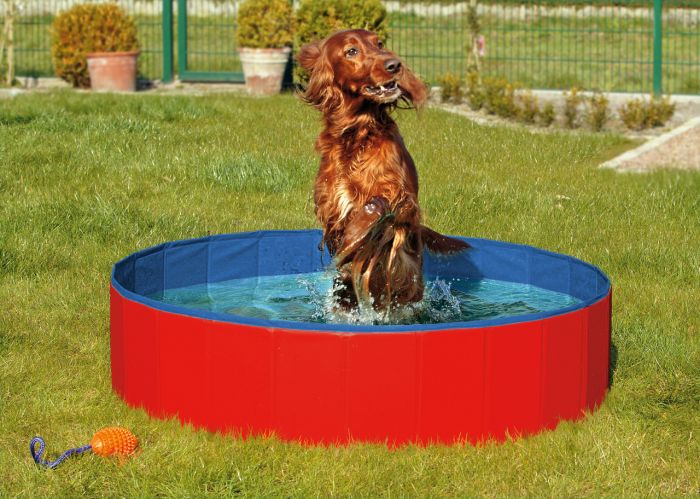 Doggy Pool