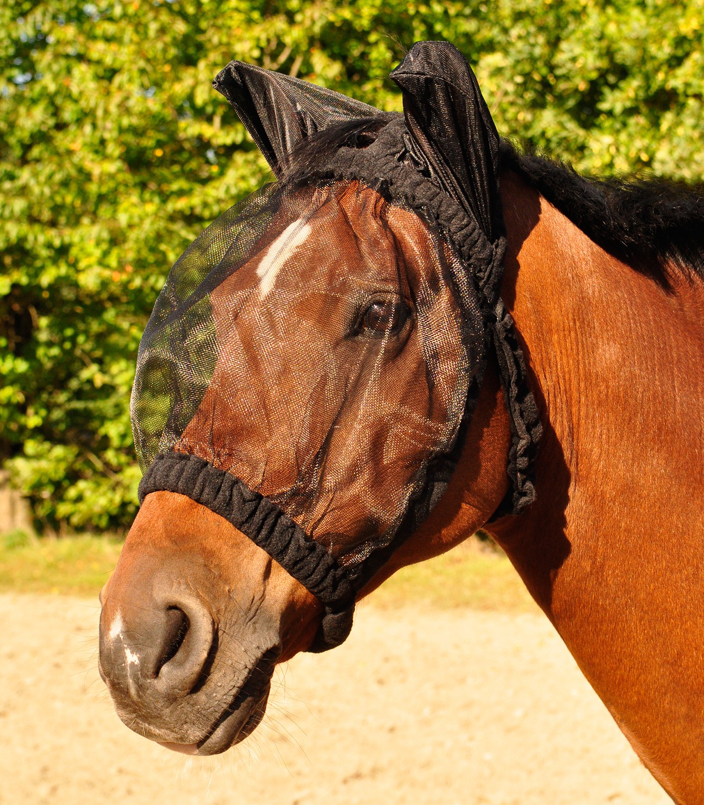 Fliegenmaske Soft, schwarz