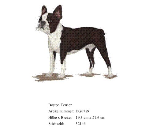 Rückenstick Boston Terrier