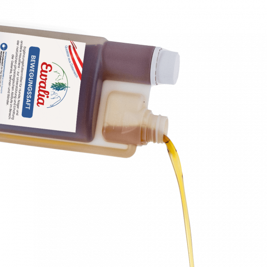 EWALIA Bewegungssaft für Hunde 500 ml