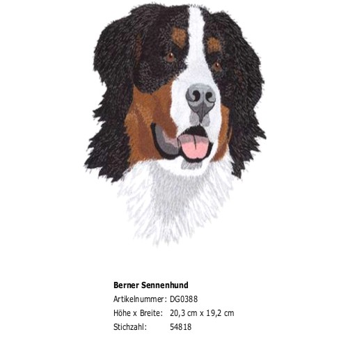 Rückenstick Berner Sennenhund