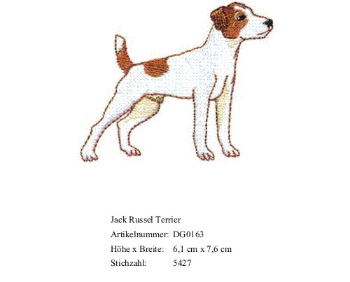 Bruststick Jack Russel Terrier