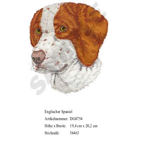 Rückenstick  Englischer Spaniel