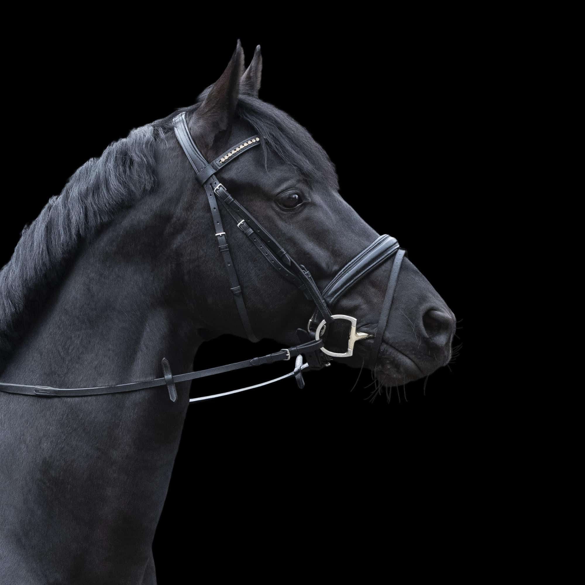 Dynamic RS Gebiss 16mm Sensogan 135cm