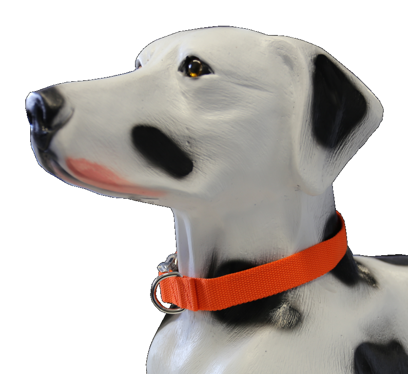 Nylonhalsband 40-60 cm