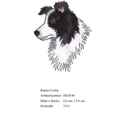 Bruststick Border Collie
