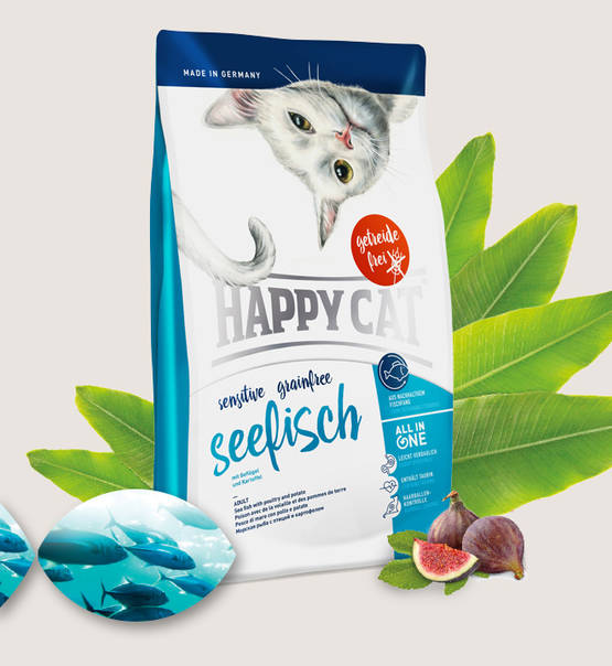 Happy Cat Seefisch