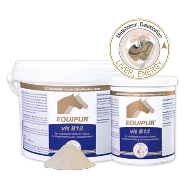 EQUIPUR - vit B12