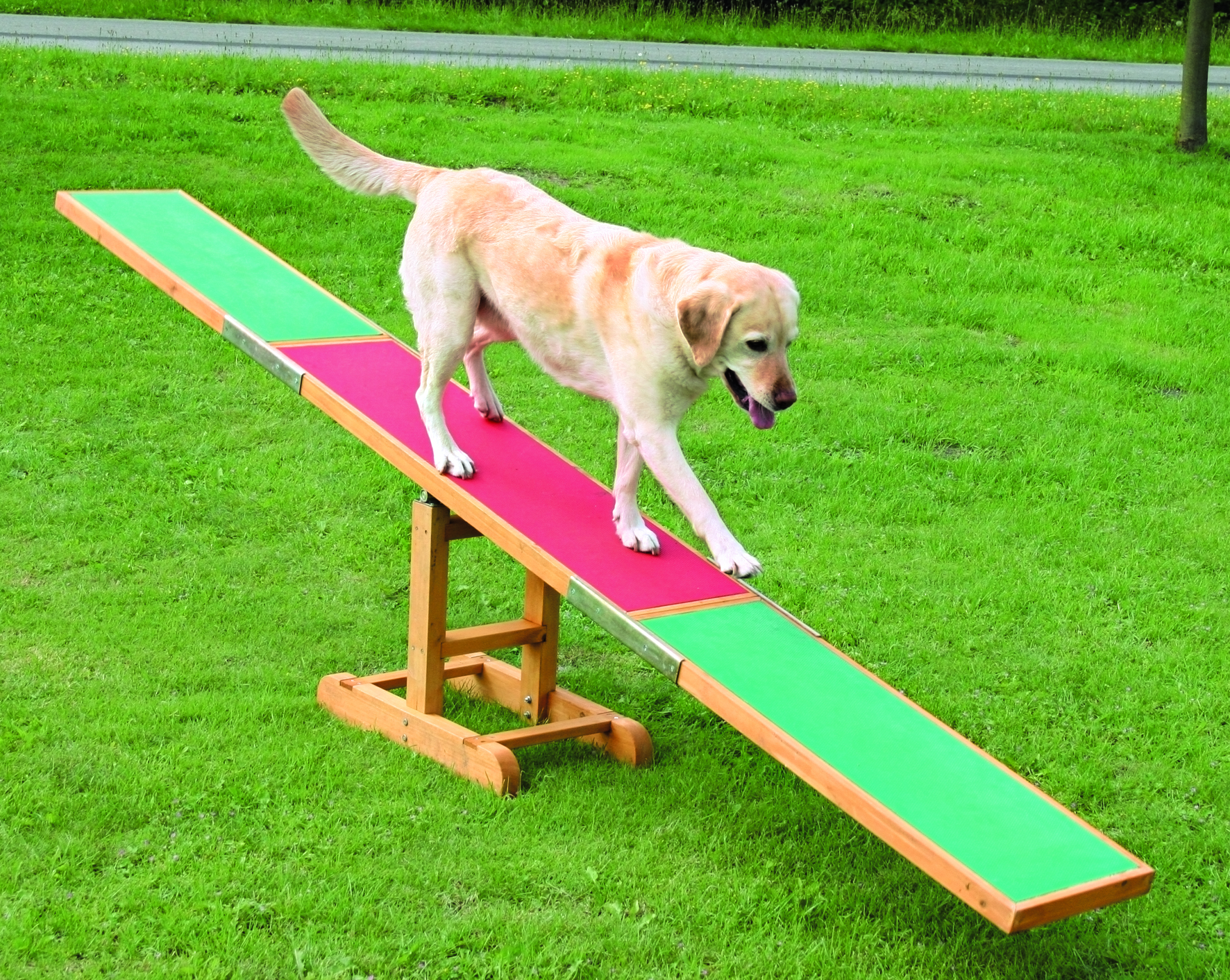 Dog Activity Agility Wippe,  300 x 54 x 34 cm