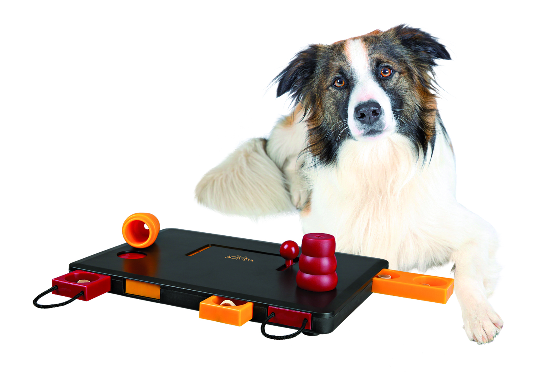 Dog Activity Move2Win, 34 x 13 cm