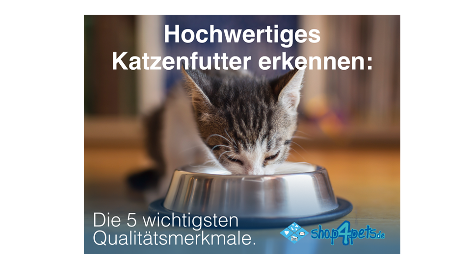  Gourmet oder Müll?
