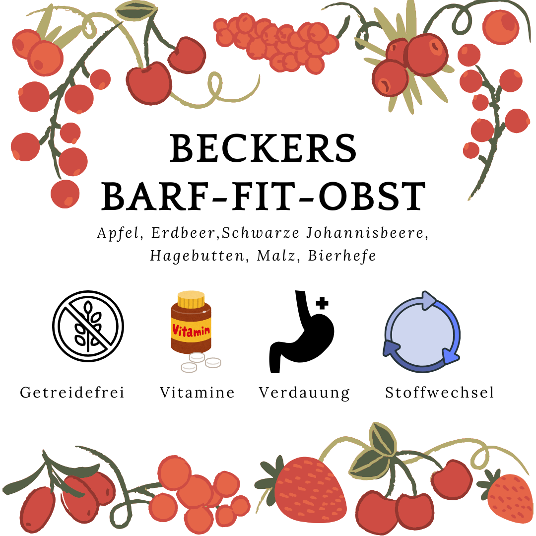 Beckers-Barf-Fit Obst 700g